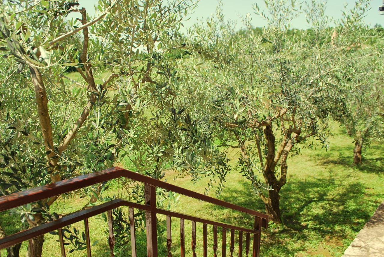 Villa Dorina Barban Exterior photo